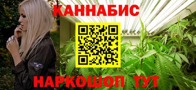стафф Новозыбков