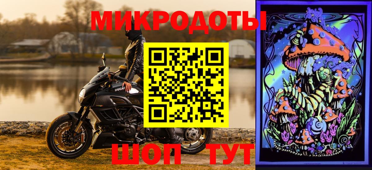Тамбов  Галлюциногенные грибы прущие грибы  Вход с VPN 