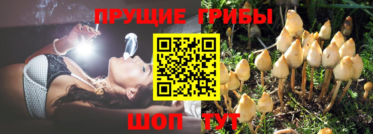 Галлюциногенные грибы мицелий Тамбов